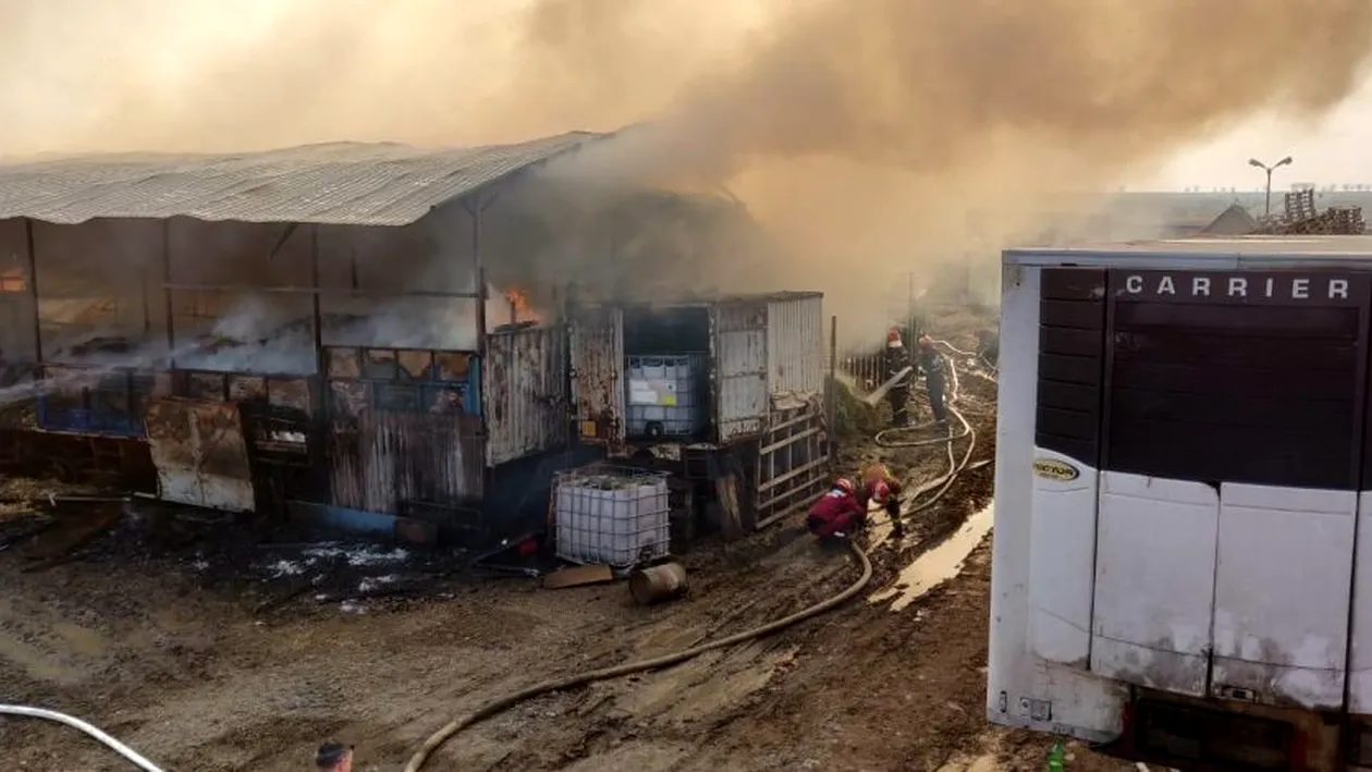 Incendiu violent în Prahova. Pompierii se luptă cu flăcări imense | VIDEO EXCLUSIV
