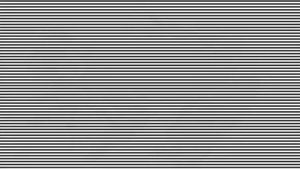 Iluzie optică virală | Ești un geniu dacă poți spune ce animal apare în această fotografie