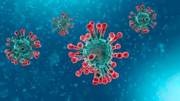 Incredibil! Cum arată, de fapt, coronavirusul. Imaginile care îți dau fiori