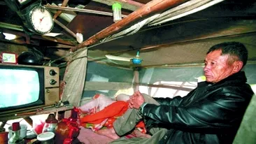 Sta in copac de zece ani