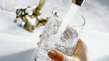 Comerciantii folosesc apa contaminata bacteriologic si vand paine depozitata necorespunzator