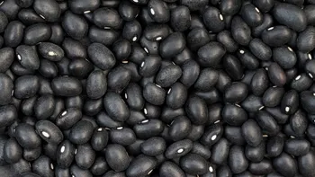 Fasolea neagră, sursă importantă de fibre și proteine. De ce o includ specialiștii în alimentație în meniul zilnic
