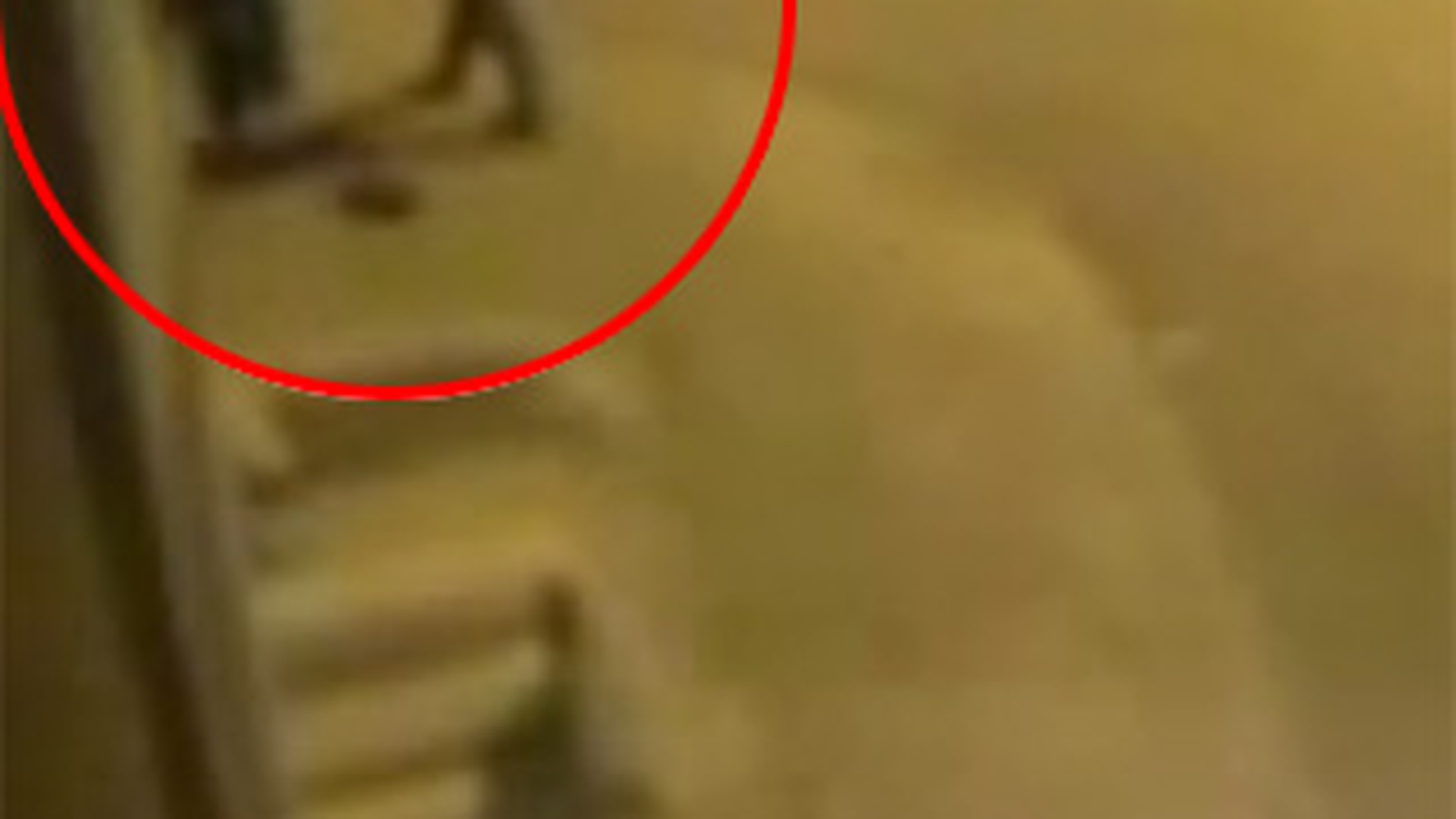VIDEO Dumnezeule mare! O femeie naste spontan in plina strada si isi abadoneaza bebelusul