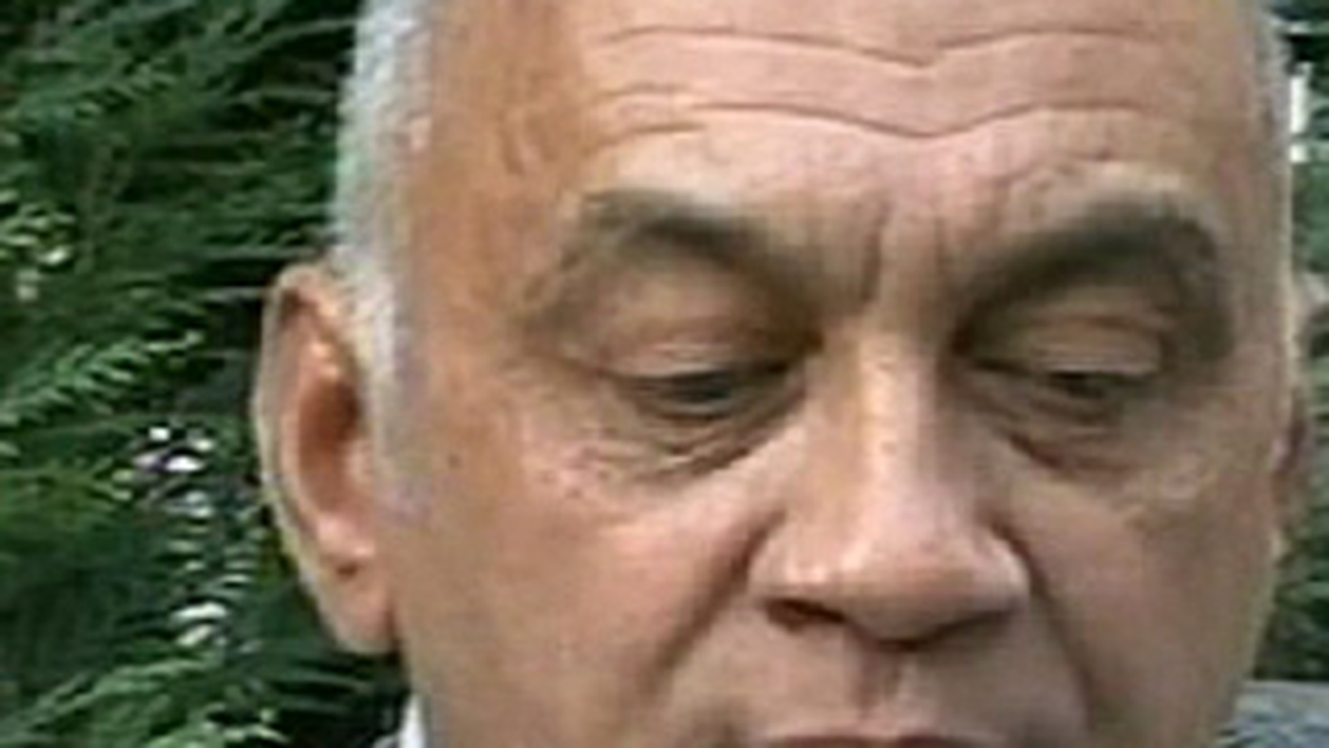 Citeste aici verdictul pe care l-a dat Nicoleta Luciu cu privire la casnicia ei cu Zsolt Csergo! Afla reactiile incredibile ale nasului de cununie al cuplului!