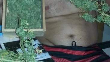 Marijuana, varianta home made! Imagini “halucinogene” cu romanul care cultiva droguri in sufragerie!