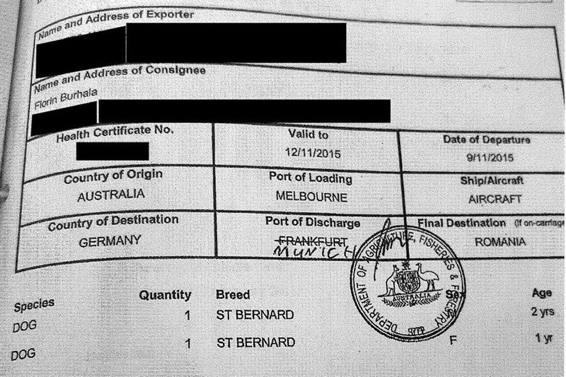 Documentul depus de fiscul din Australia, care arată când şi în ce mod au fost aduşi câinii familiei Burhală în România