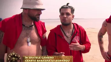 Câte clase și ce studii are, de fapt, Babasha de la Desafio. Adevărul despre manelistul luptător de la Pro TV