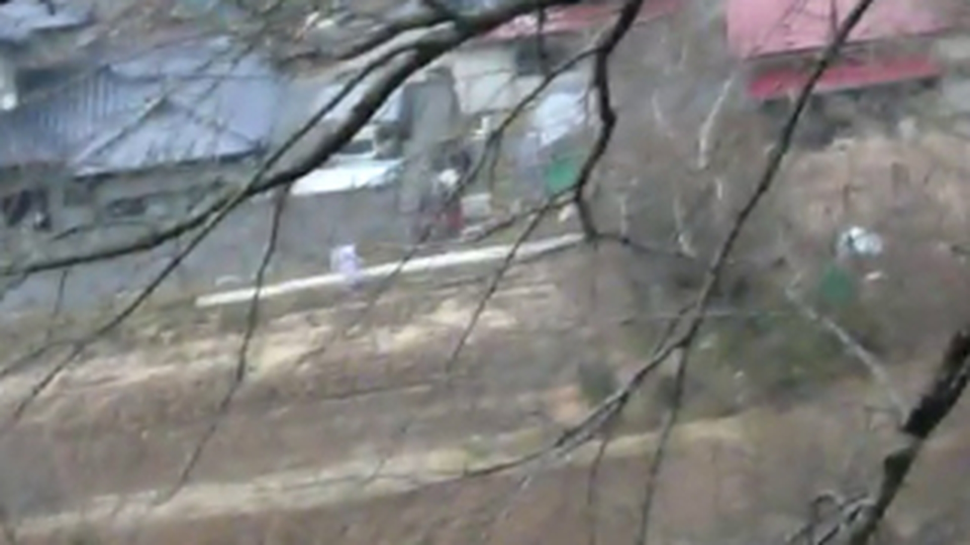 VIDEO Noi imagini incredibile cu tsunami-ul devastator din Japonia au fost publicate! VEZI AICI cum fug oamenii ca sa se salveze