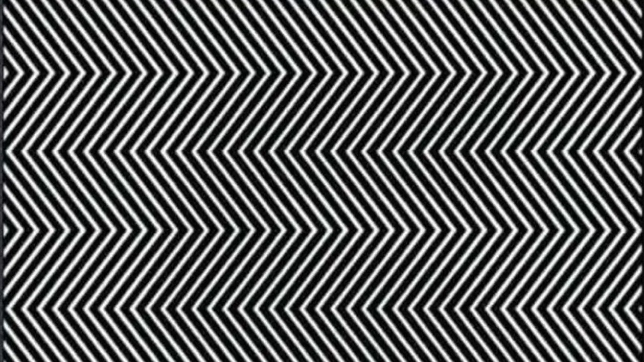 Iluzie optică virală | Ești un geniu dacă poți găsi numărul ascuns în această poză