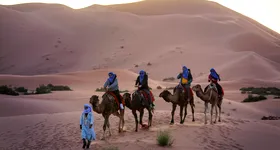 Galerie foto - poza 4