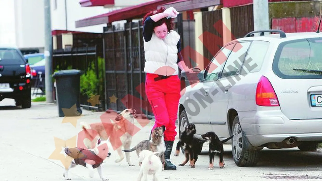 Face munca de jos pentru cateii strazii