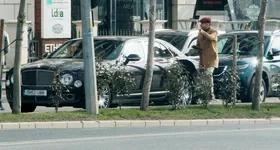 Galerie foto - poza 2