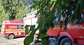 Galerie foto - poza 3