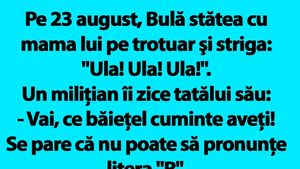 BANC | Pe 23 august, Bulă stătea cu mama lui pe trotuar şi striga: "Ula! Ula! Ula!"