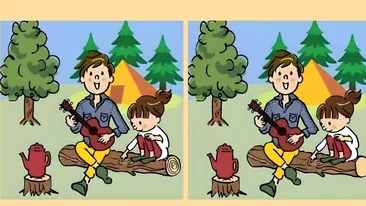 Test de perspicacitate | 3 diferențe în 23 de secunde: Le puteți identifica pe toate?