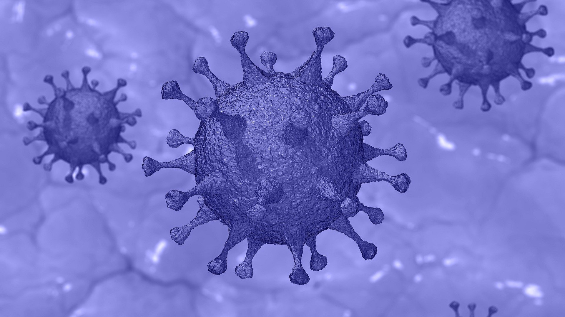 Coronavirus România, 2 martie. Aproape 4000 de români s-au infectat, în ultimele 24 de ore, cu SARS – CoV – 2