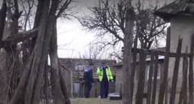 Galerie foto - poza 1