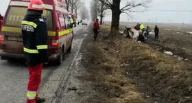 Galerie foto - poza 4