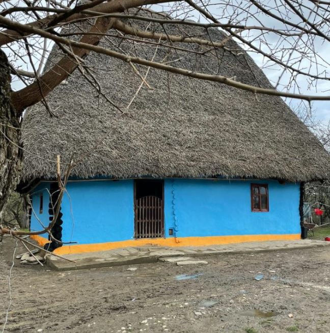 Cum arată casa Laurei Cosoi din Maramureș. Aici și-a botezat fetițele