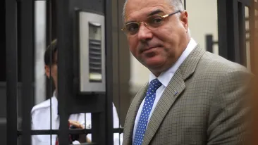 Ipoteza soc in cazul baietului ucis de maidanezi: O catelusa l-a lins pe fata Cine explica astfel sangele de pe botul animalului