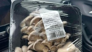 "Cum să plângi în Kaufland". Ce a pățit o celebră prezentatoare TV din România, în supermarket