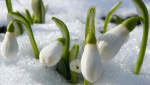 Prognoza meteo pentru saptamana 25 februarie - 3 martie. Vremea se schimba radical in Romania