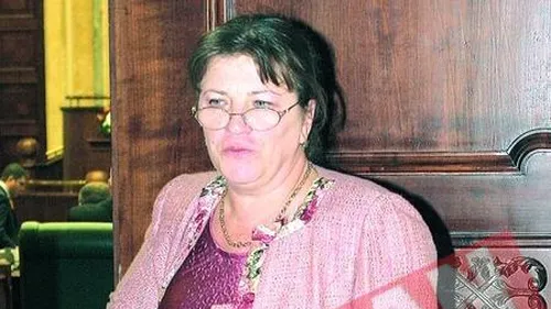 CNSAS nu o mai verifica pe Norica Nicolai