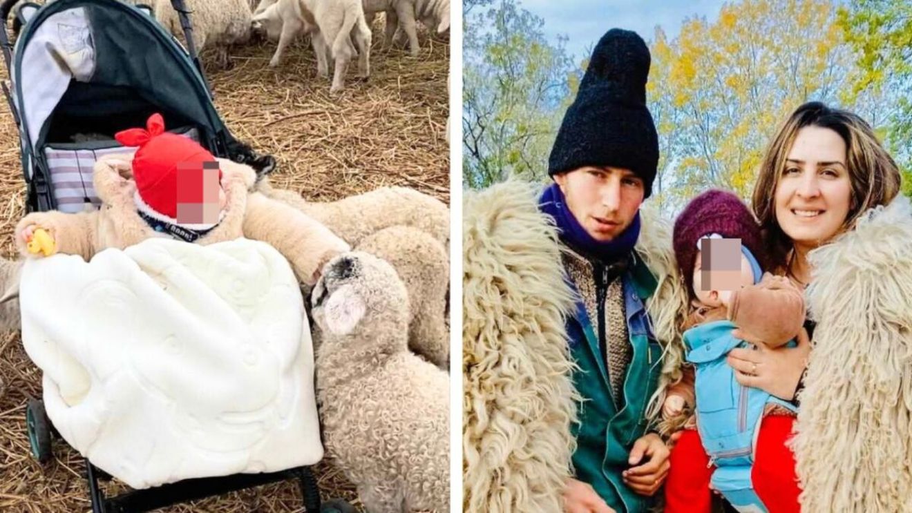 De la avocatură la creșterea ovinelor. Cristina Teleanu s-a întors din străinătate, iar acum are 600 de oi