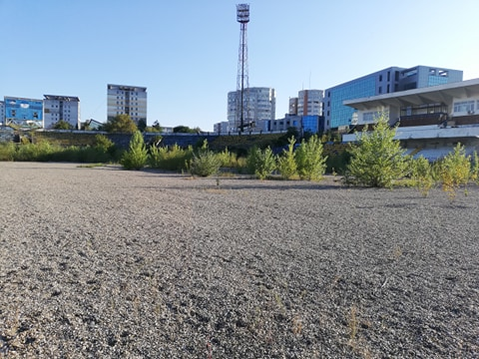 Uluitor cum arată celebrul stadion unde Mirel Rădoi a fost amenințat cu moartea: ”Fugiți…”