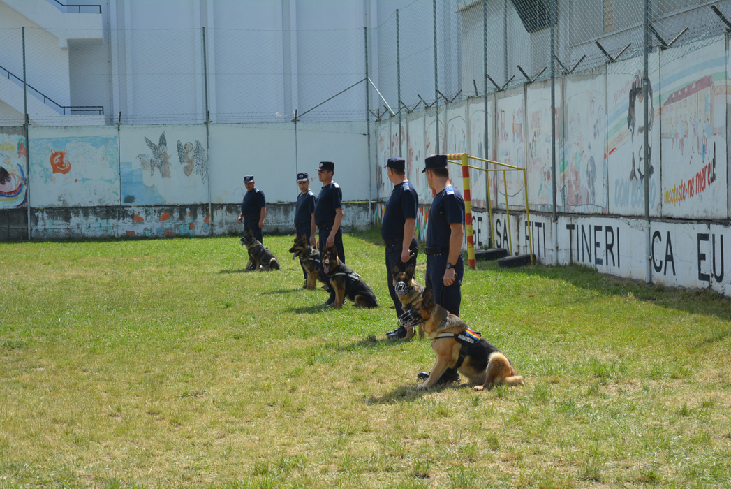 Una dintre ședințele de antrenament