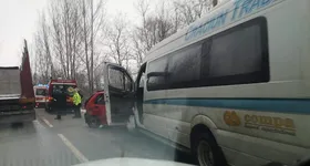 Galerie foto - poza 1