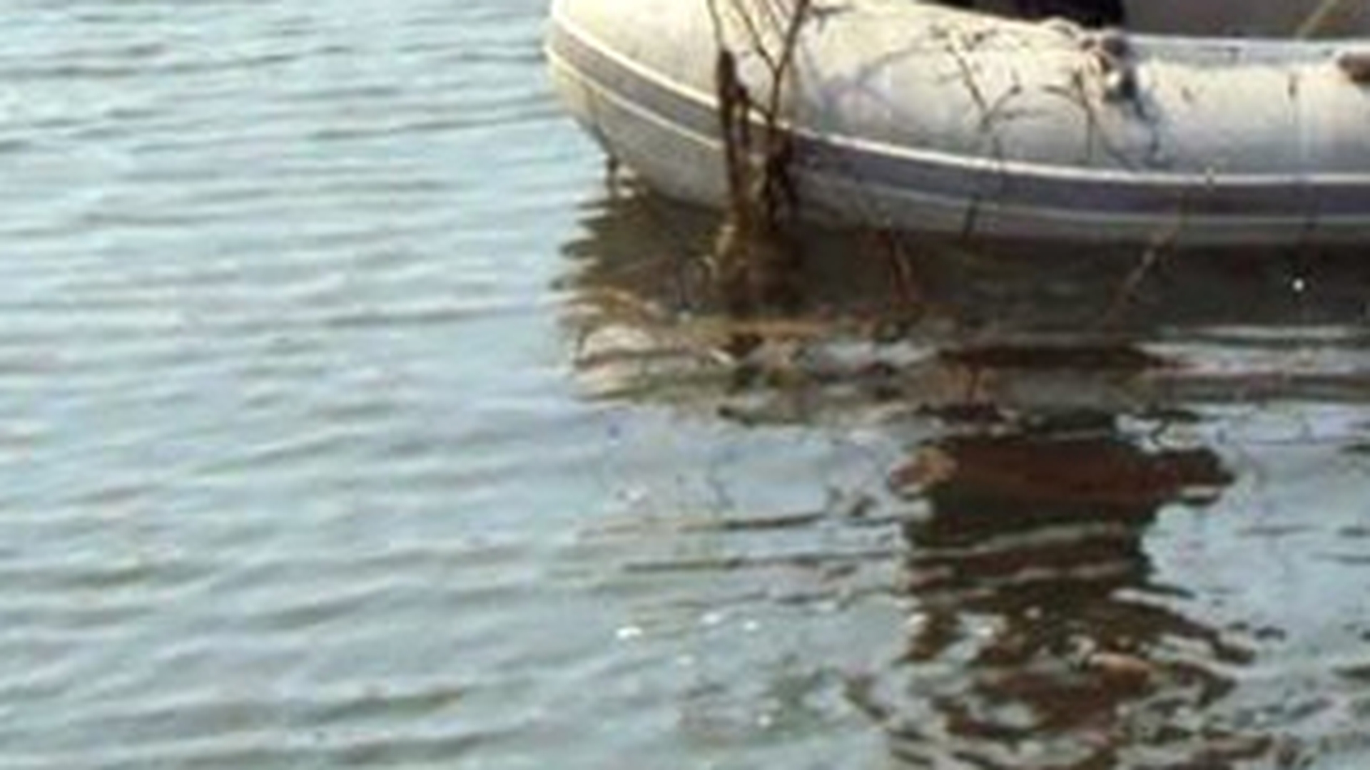 Sfarsit tragic! Un tanar din Capitala s-a inecat in Lacul Morii