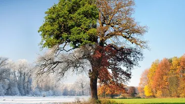 Cald, dar şi ninsori! Vezi cum e posibil şi cum va fi vremea în următoarele trei zilei