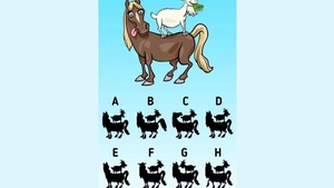 Test de inteligență | Care este umbra corectă a celor două animale din imagine?