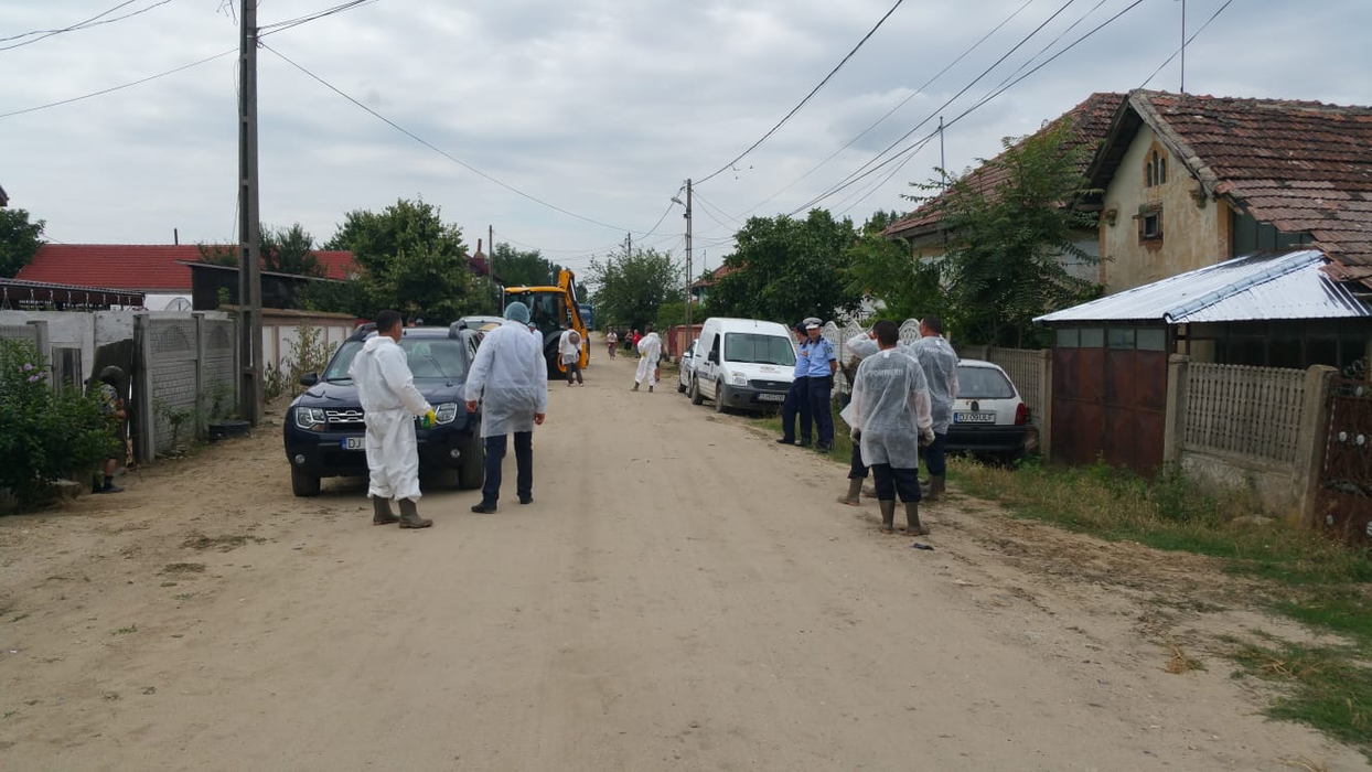 Desfășurare impresionantă de forțe la Teasc, în Dolj, pentru uciderea porcilor