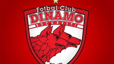 Ionuţ Negoiţă este noul acţionar majoritar la clubul Dinamo!