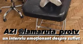 Galerie foto - poza 1