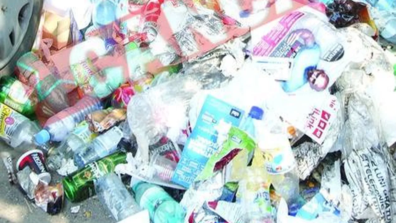 Bucurestiul, o capitala unde colcaie gunoaiele pe strazi