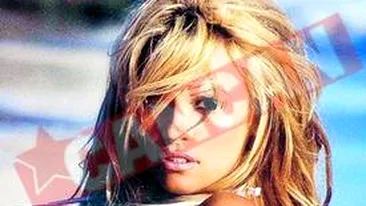 Cine a ciufulit-o pe Pamela?