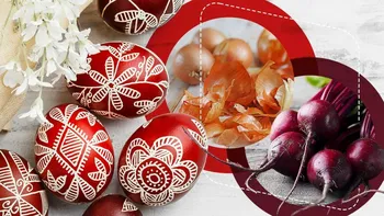Cum vopsești natural ouăle de Paște. Metodele testate cu coji de ceapă, sfeclă sau varză roșie