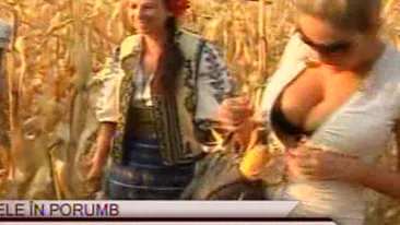 E criza si printre vedete! Sanziana Buruiana si Andreea Tonciu, de pe podium, la cules de porumb!