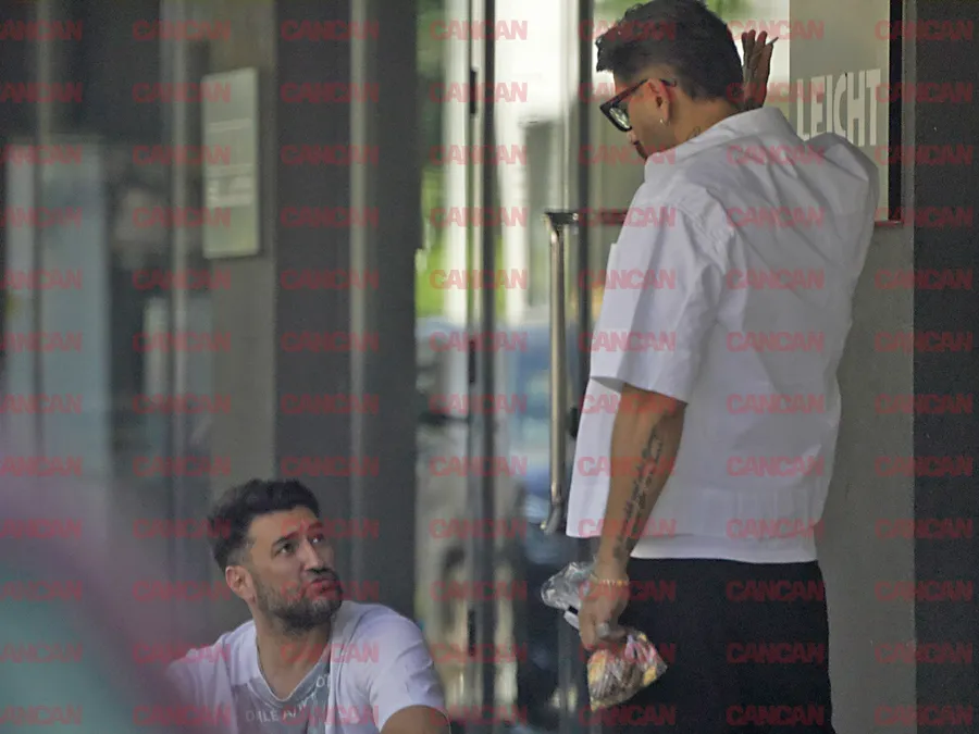 Ce au stabilit cei doi artiști