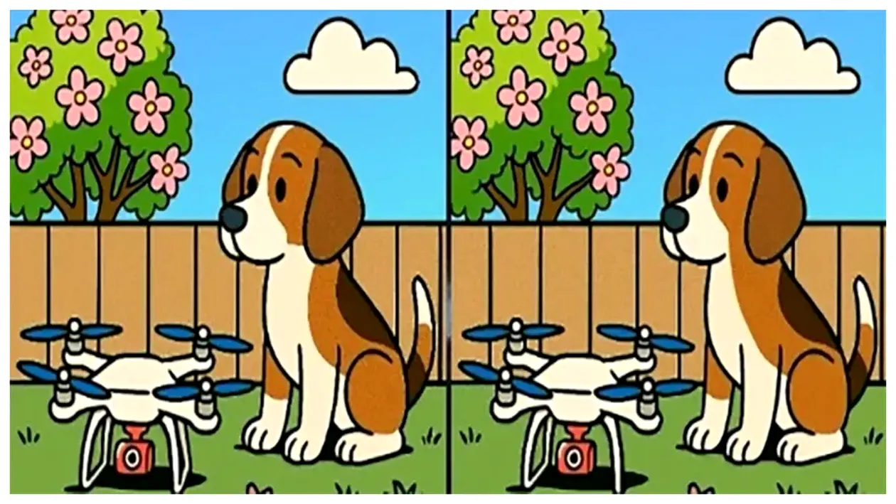 Test IQ | Doar un geniu va descoperi cele 3 diferențe din imagine, în 20 de secunde