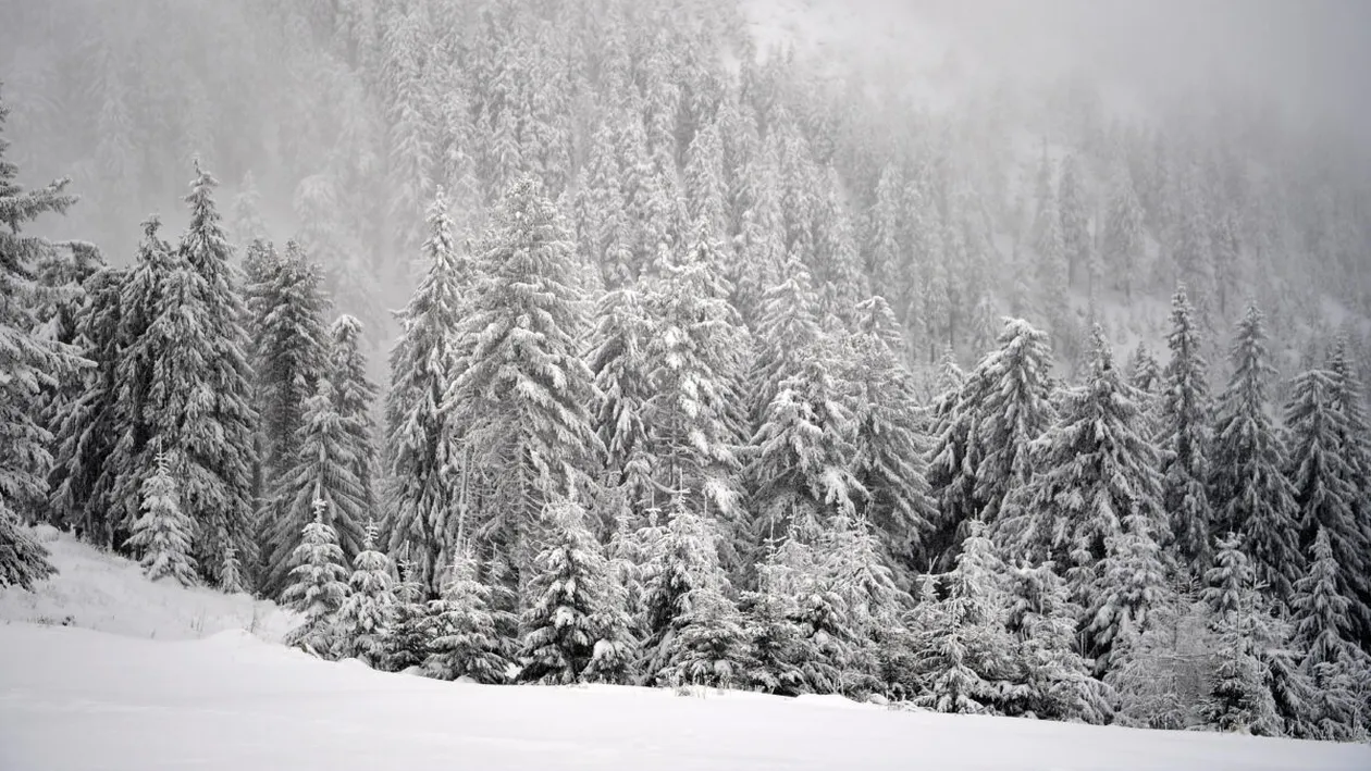 Informația care dă peste cap ancheta în cazul lui George, tânărul dispărut în Munții Bucegi. Salvamontiștii din Brașov au făcut totul public!