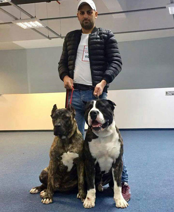 Sharky, cel supranumit "regele filmelor pentru adulți"