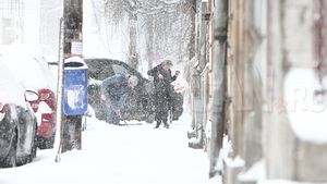Anamaria Prodan se respectă: şi-a angajat lopătar personal!