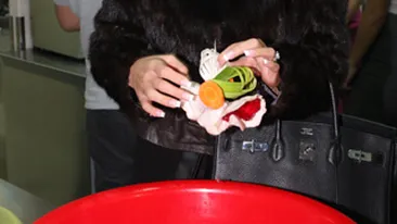 Andreea Tonciu, gospodina-dinamita