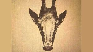 Iluzie optică virală exclusivă pentru genii | Găsiți pinguinul în cel mult 5 secunde!