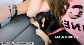 Galerie foto - poza 3