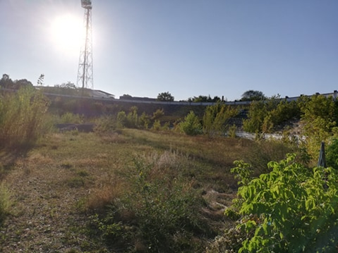 Stadionul Municipal a ajuns o ruină! Gazonul a dispărut, au apărut pietre, iar bălăriile au crescut peste tot
